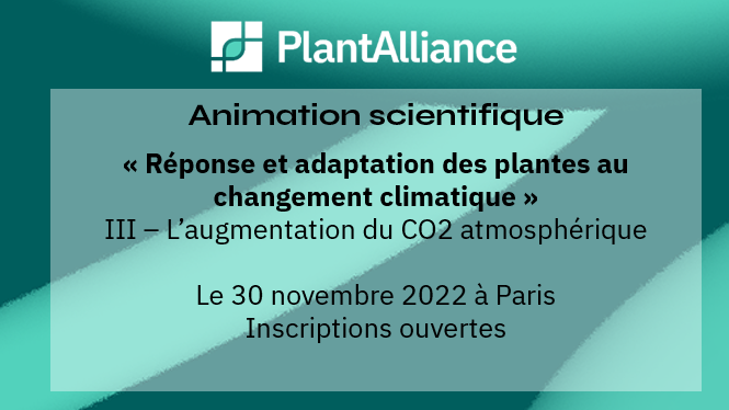 Animation scientifique « Réponse et adaptation des plantes au changement climatique - III - L'augmentation du CO2 atmosphérique »