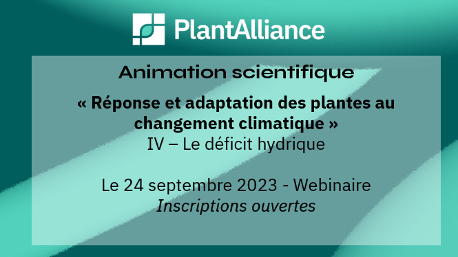 Animation scientifique « Réponse et adaptation des plantes au changement climatique - IV - Le déficit hydrique »
